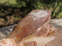 Natural Red Hematoid Phantom Quartz Clusters  x 3 From Karoi, Zimbabwe - TopRock