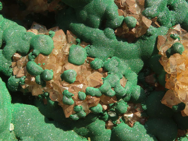 Natural Rare XXL Ball Malachite On Drusy Quartz & Dolomite Specimen x 1 From Kambove, Congo