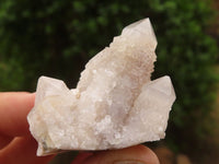 Natural Small White Spirit Quartz Specimens  x 35 From Boekenhouthoek, South Africa - Toprock Gemstones and Minerals 