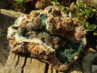 Natural Rare XXL Ball Malachite On Drusy Quartz & Dolomite Specimen x 1 From Kambove, Congo