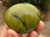 Polished Green Opal Palm Stones  x 12 From Madagascar - Toprock Gemstones and Minerals 