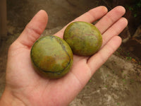 Polished Green Opal Palm Stones  x 12 From Madagascar - Toprock Gemstones and Minerals 