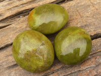 Polished Green Opal Palm Stones  x 12 From Madagascar - Toprock Gemstones and Minerals 