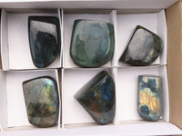 Polished Labradorite Standing Free Forms With Intense Blue & Gold Flash x 6 From Tulear, Madagascar - TopRock