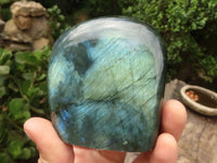 Polished Labradorite Standing Free Forms With Intense Blue & Gold Flash x 6 From Tulear, Madagascar - TopRock