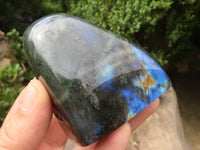 Polished Labradorite Standing Free Forms With Intense Blue & Gold Flash x 6 From Tulear, Madagascar - TopRock