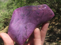 Polished Stunning Larger Beautiful Purple Stichtite Free Forms  x 2 From Barberton, South Africa - TopRock