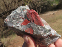 Natural Cobbed Bloodstone Specimens  x 3 From Swaziland - TopRock