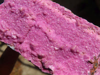 Natural Pink Salrose Cobaltion Dolomite Specimens  x 6 From Kakanda, Congo