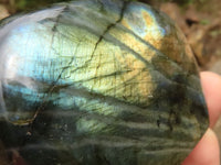 Polished Labradorite Standing Free Forms With Intense Blue & Gold Flash x 6 From Tulear, Madagascar - TopRock