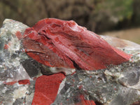 Natural Cobbed Bloodstone Specimens  x 3 From Swaziland - TopRock