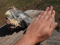 Natural Cobbed Bloodstone Specimens  x 3 From Swaziland - TopRock