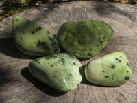 Polished Green Leopard Stone / Serpentine Free Forms  x 4 From Zimbabwe - TopRock