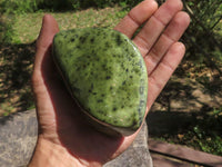 Polished Green Leopard Stone / Serpentine Free Forms  x 4 From Zimbabwe - TopRock