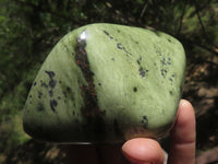 Polished Green Leopard Stone / Serpentine Free Forms  x 4 From Zimbabwe - TopRock