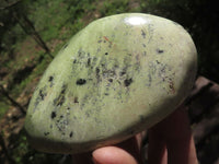 Polished Green Leopard Stone / Serpentine Free Forms  x 4 From Zimbabwe - TopRock