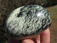 Polished Highly Selected Leopard Stone Gallets  x 6 From Zimbabwe - TopRock