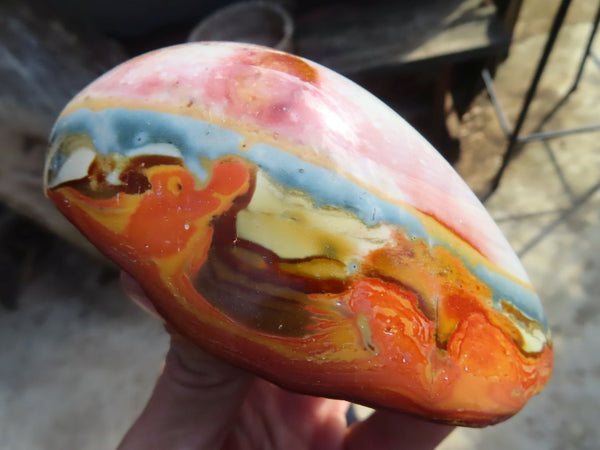 Polished Polychrome Jasper Domed Pieces  x 6 From Madagascar