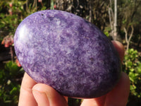 Polished Purple Lepidolite Free Forms  x 6 From Zimbabwe - Toprock Gemstones and Minerals 