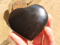 Polished Black Basalt Gemstone Hearts x 6 From Madagascar