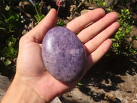 Polished Purple Lepidolite Free Forms  x 6 From Zimbabwe - Toprock Gemstones and Minerals 