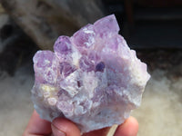 Natural Sugar Amethyst Clusters  x 6 From Zambia