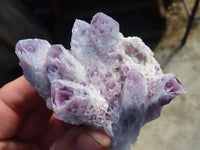 Natural Sugar Amethyst Clusters  x 6 From Zambia