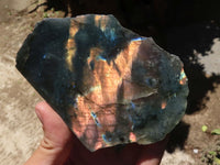 Polished One Side Polished Labradorite Slices  x 6 From Madagascar - TopRock