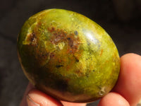 Polished  Green Opal Galet / Palm Stones x 12 From Antsirabe, Madagascar