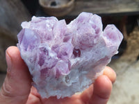 Natural Sugar Amethyst Clusters  x 6 From Zambia