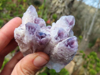 Natural Sugar Amethyst Clusters  x 6 From Zambia