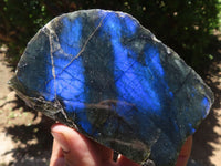 Polished One Side Polished Labradorite Slices  x 6 From Madagascar - TopRock