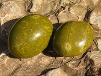 Polished  Green Opal Galet / Palm Stones x 12 From Antsirabe, Madagascar