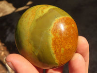 Polished  Green Opal Galet / Palm Stones x 12 From Antsirabe, Madagascar