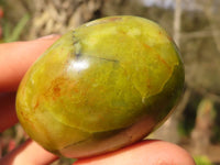 Polished  Green Opal Galet / Palm Stones x 12 From Antsirabe, Madagascar