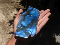 Polished One Side Polished Labradorite Slices  x 6 From Madagascar - TopRock