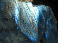 Polished One Side Polished Labradorite Slices  x 6 From Madagascar - TopRock