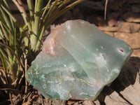 Natural Rough Green Jade Specimens  x 12 From Swaziland - Toprock Gemstones and Minerals 