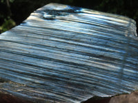 Polished One Side Polished Labradorite Slices  x 6 From Madagascar - TopRock