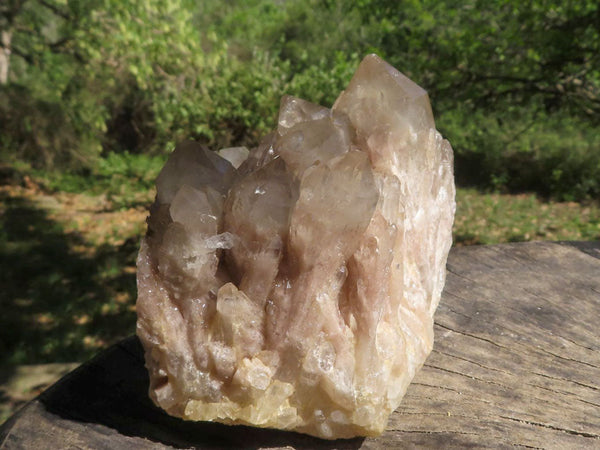 Natural Smokey Phantom Quartz Clusters  x 2 From Luena, Congo - TopRock