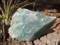 Natural Rough Green Jade Specimens  x 12 From Swaziland - Toprock Gemstones and Minerals 