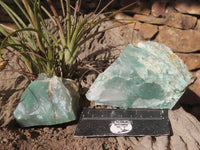 Natural Rough Green Jade Specimens  x 12 From Swaziland - Toprock Gemstones and Minerals 