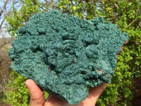 Natural Extra Large Crystalline Malachite Specimen x 1 From Congo