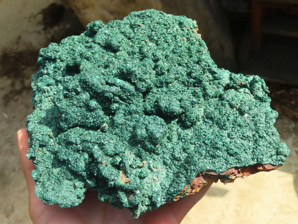 Natural Extra Large Crystalline Malachite Specimen  x 1 From Congo