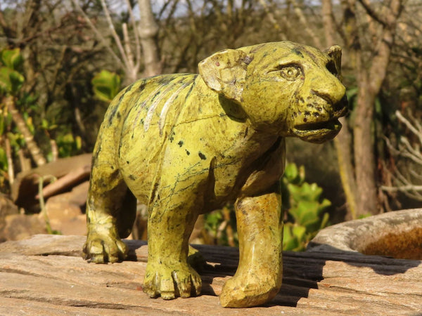 Polished  Leopard Stone Lioness Carving  x 1 From Zimbabwe