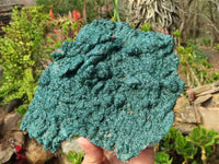 Natural Extra Large Crystalline Malachite Specimen x 1 From Congo