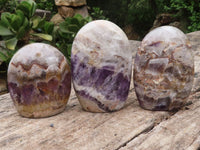 Polished Amethyst Standing Free Forms  x 3 From Madagascar - TopRock