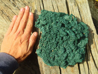 Natural Extra Large Crystalline Malachite Specimen x 1 From Congo