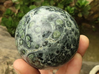 Polished Stromatolite / Kambamba Jasper Spheres  x 3 From Madagascar - TopRock