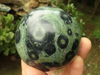 Polished Stromatolite / Kambamba Jasper Spheres  x 3 From Madagascar - TopRock